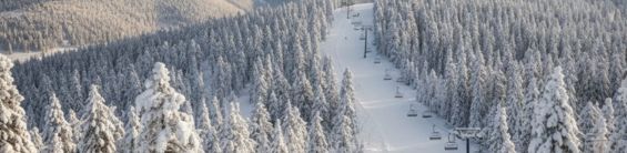 Sarıkamış Otelleri