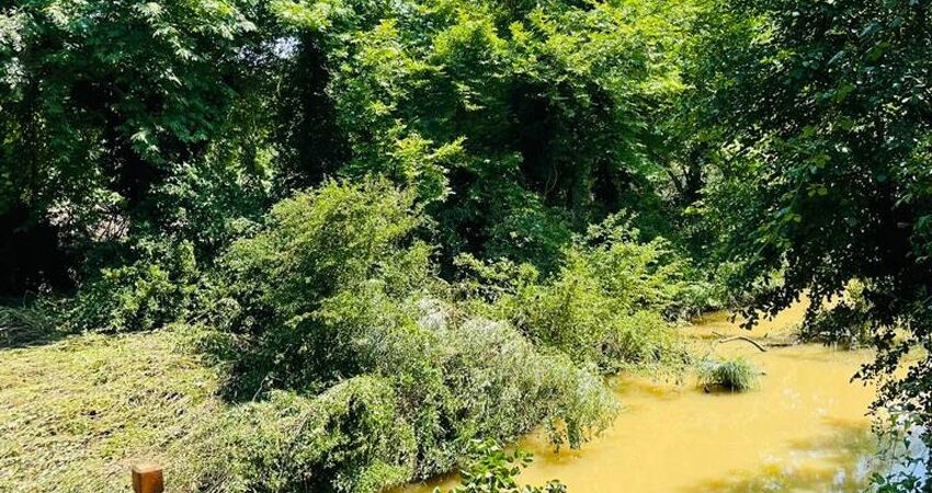 Ağva Fındık Kabuğu Villa