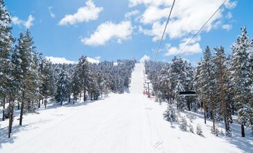 Sevgililer Günü Özel Sarıkamış Uçaklı