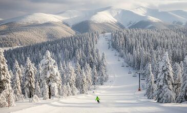 Sevgililer Günü Özel Sarıkamış Uçaklı