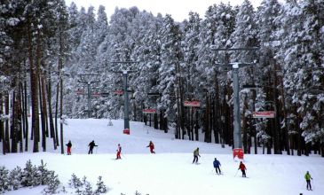 Sevgililer Günü Özel Sarıkamış Uçaklı